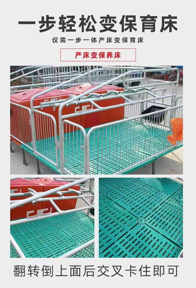 母猪产床（双体）