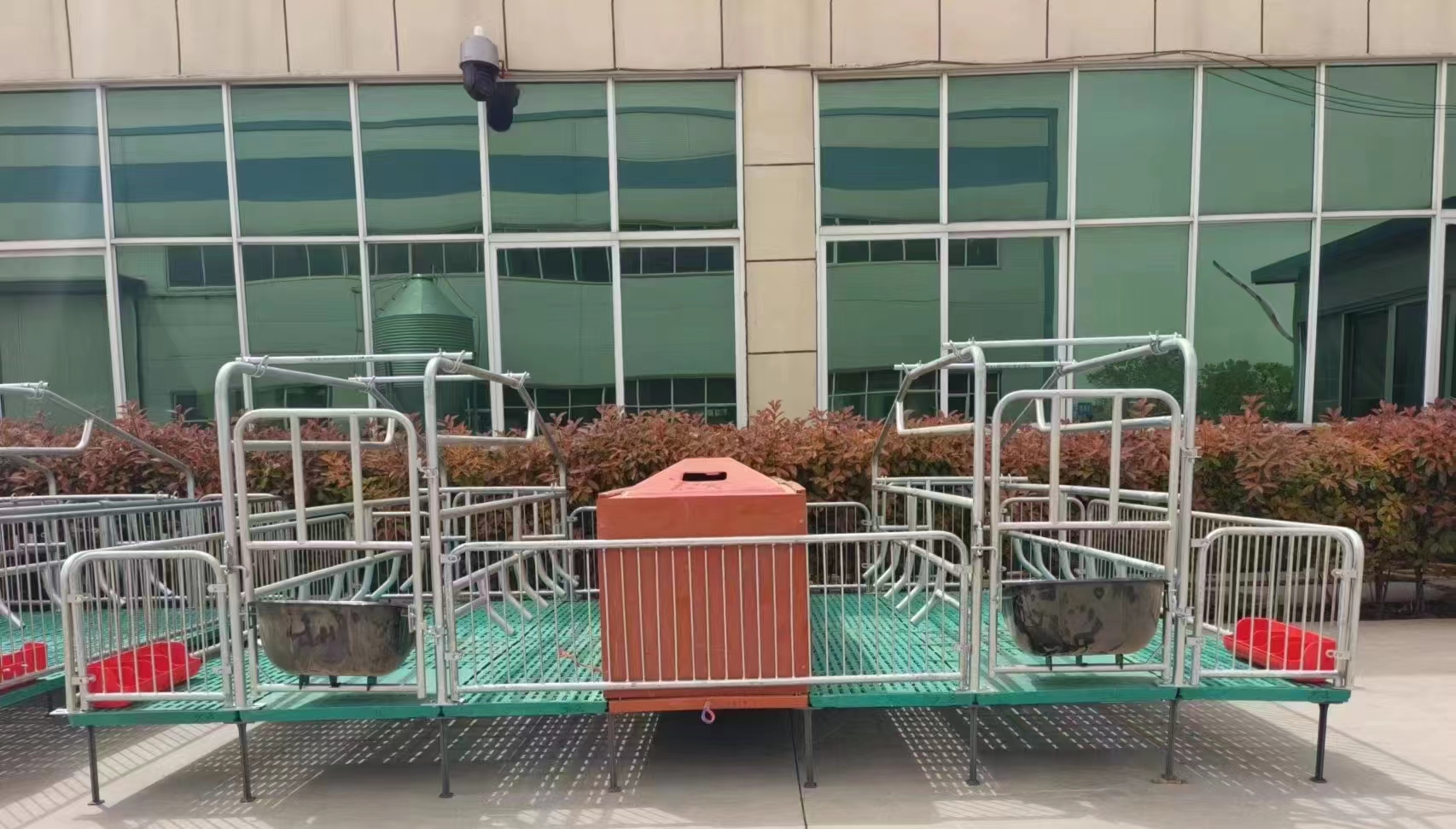 母猪产床（双体）